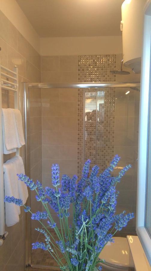 Apartman Bokula โนวีวีโนดอลสกี ห้อง รูปภาพ